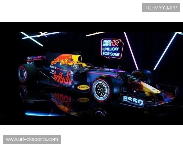 红牛技术总监纽维分析2024赛季后半段赛车速度下降原因